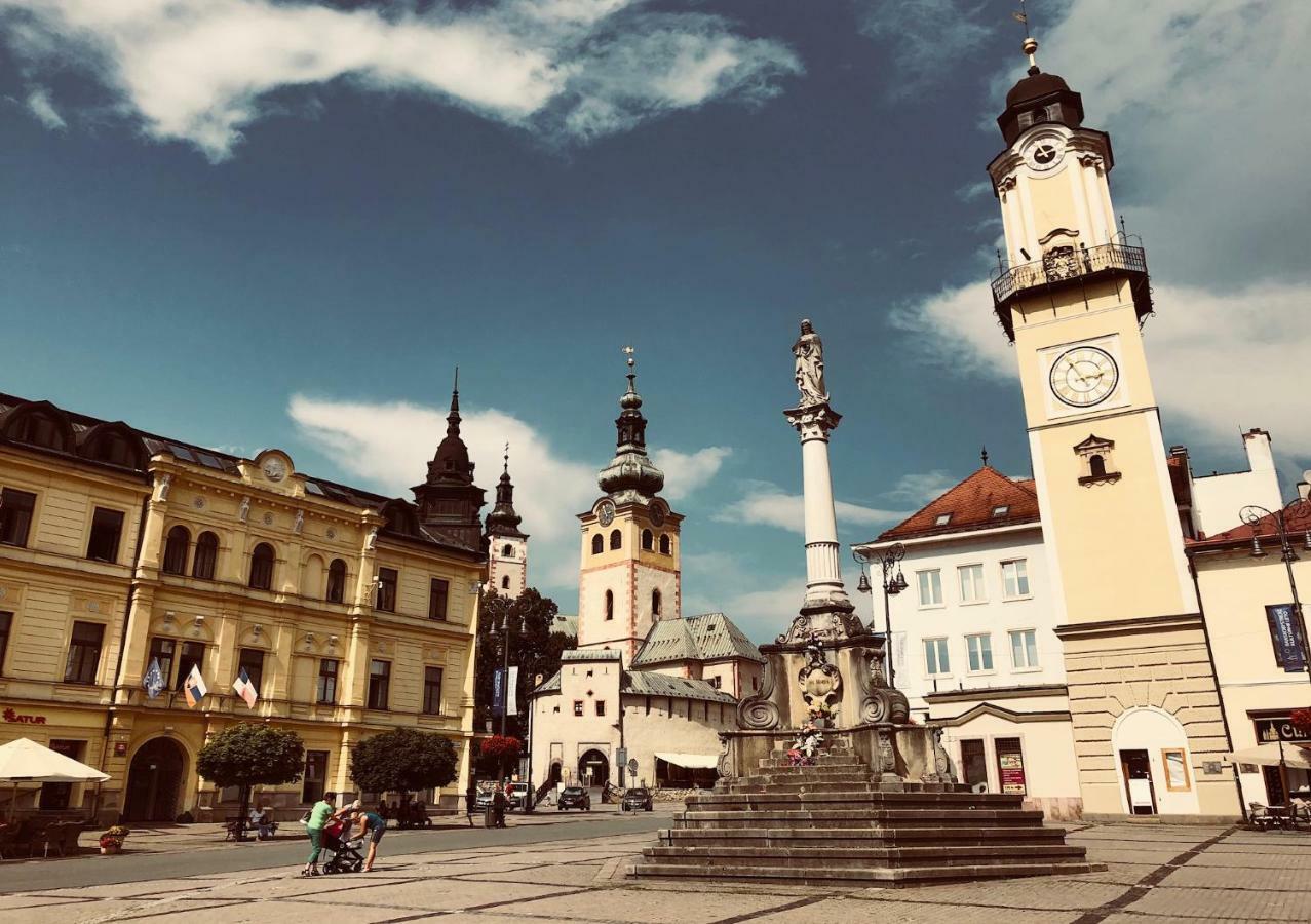 Bl City View Apartment, 24Hr Self Check-In, Free Private Parking, Panoramic View From Balcony, 5-Minute Walk To City Centre Banská Bystrica Exteriér fotografie